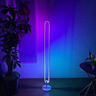 China Nordic Modern Minimalist 2022 RGB Floor Lamp Led Standing Lights Remote Control Corner Light For Bedroom Living Room for sale