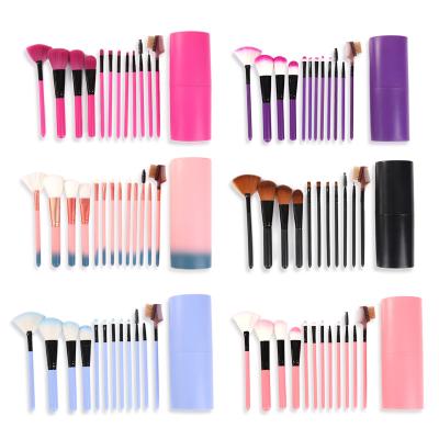 China Professional Vegan Hair Professional Hair Woman Makeup Brush 12cs Long Lasting Hot Selling Makeup Brush Blue Pink Blue Pink for sale