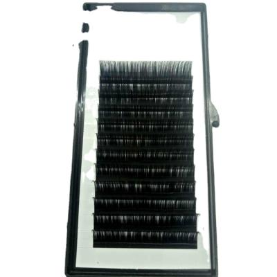 China Natural Soft Jet Black Soft And Very Light Synthetic Silk Lashes Individual Eyebrow Single Eyelash Extensions for sale