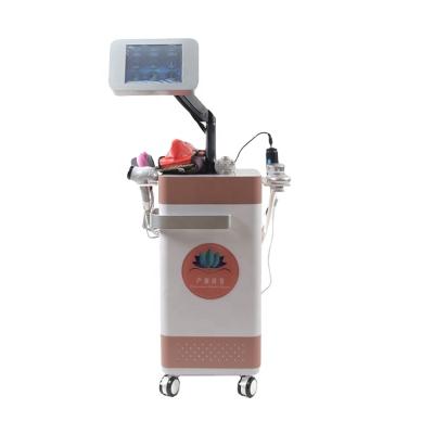 China Wrinkle Pelvic Muscle Repair Remover Postpartum Floor Repair Beauty Machine Efficiently for sale