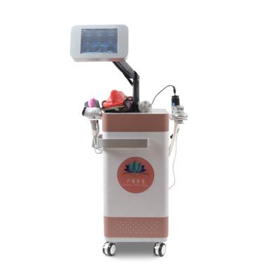 China Vaginal Rejuvenation Machine 10 in 1 Postpartum Repair Vaginal Rejuvenation Equipment Pelvic Floor Muscle Repair for sale