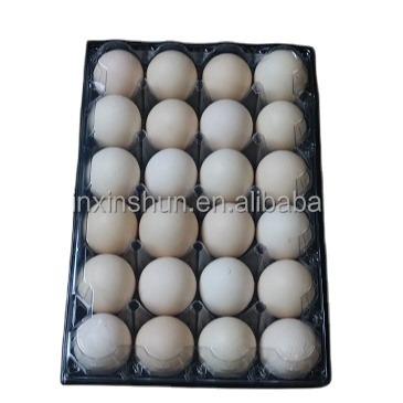 China Disposable super cheap plastic supermarket egg tray, 24 holes trays for sale