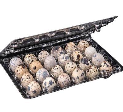 China Agriculture PET 18 Packs Quail Egg Tray 18 Holes Factory Price Quail Egg Packing Plastic Clear Egg Carton for sale