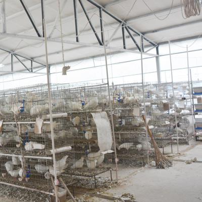 China Direct Product High Quality Easily Clean Pigeon Breeding Cage Direct Design for sale