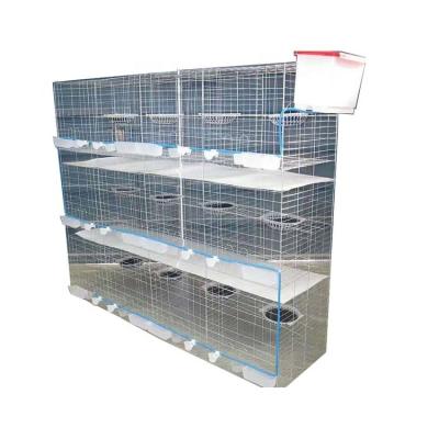 China Easily Clean Pigeon Breeding Cage For Sale for sale