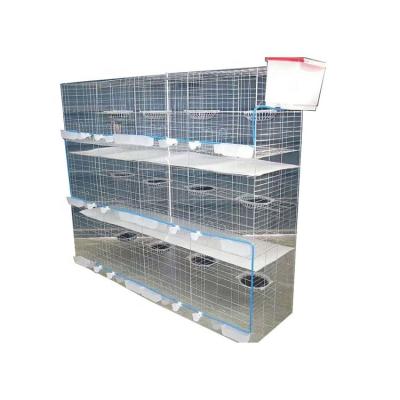 China Easily clean new type and fancy pigeon top cages for sale for sale