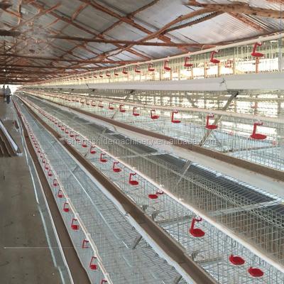 China Big easily clean farm meat broiler chicken cage system for sale for sale