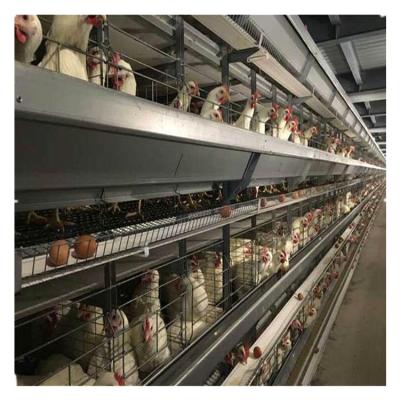 China Easily Clean Poultry Chicken Cage Broiler Chicken Cage Meat Chicken Cage for sale