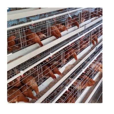 China Easily Clean Industrial Stainless Steel Rabbit Cages for sale