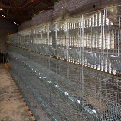 China Easy Clean Easy Clean Commercial Rabbit Cage For Sale Used In Kenya for sale