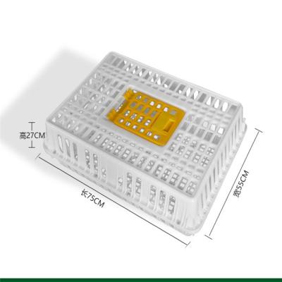 China Pure Material Livestock Farms 100% PE Chicken Transport Cage Plastic Folding Cage Box for sale