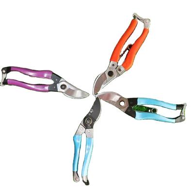 China Handle Factory Price Professional Manufacturer Cutter Clippers Florist Anti-Slip Scissors Garden Shears for sale