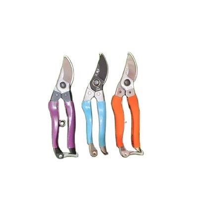 China Supply High Standard Anti-Slip Handle Manufacturer Scissor Tool Eco-friendly Garden Shears for sale