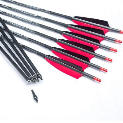 China Pinals Archery Carbon TIR 30 Free Shipping Arrows 32 Inch Spine 300 400 500 600 For Compound Bows Recurve Traditional Bow Hunting for sale