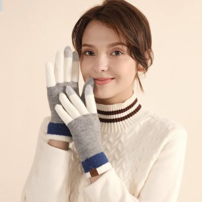 China Warm Women Plain Winter Touch Screen Mittens Full Finger Stretchy Knitting Gloves Women Male Male Knitted for sale