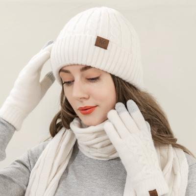 China Medium Winter Beanie Hat Scarf Touchscreen Gloves set for men and women, warmer set with warm knit striped fleece for sale