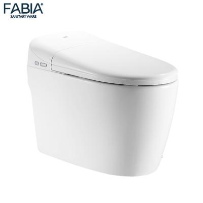 China Factory Cheap Intelligent Auto Sale Double-Flow Price Smart Toilet for sale