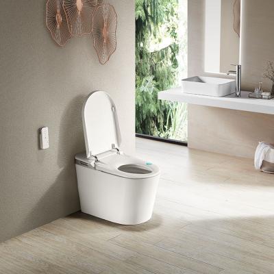 China Double-flush Well Selling Modern Luxury Hotel One-piece Gravity Toilet for sale