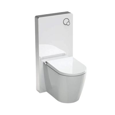 China Double Cistern Glass Top Push Concealed Cistern Flush Back To Wall Flush Toilet Concealed Cistern With Ce Te koop