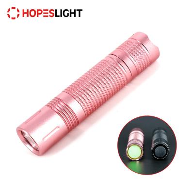 China Promotional Small Powerful Multicolor LED Torch Light Bulk 365NM Metal 1 AA Battery UV Flashlights UV Flashlights for sale