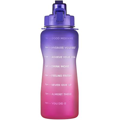 China Latest Fashion Sustainable Motivational Gradient Frosted Water Bottle for sale