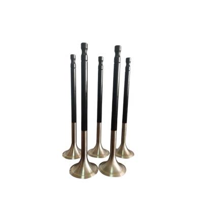 China Boat Engine Spare Parts Engine Valve Exhaust Exhaust Valve For Boat MAN B&W L20/27 for sale