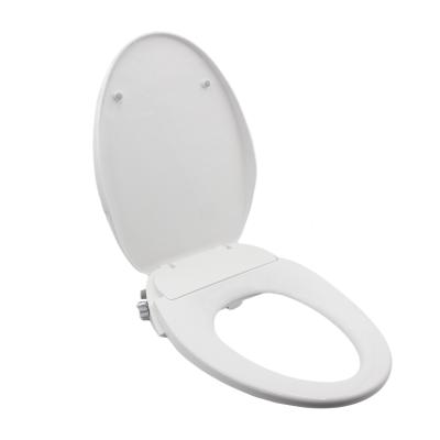 China Modern D Shape Bidet Two Seat Spout Non-Electronic Toilet Spray Seat Cover Maker for sale