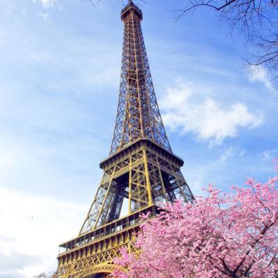 China Customized Full Square Round Diamond Tower Landscape Paris Picture 5D DIY Diamond Painting Cross Stitch Eiffel Customization WY08 Rhinestones for sale