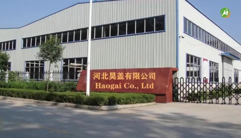 Verified China supplier - Hebei Haogai Network Technology Co., Ltd.