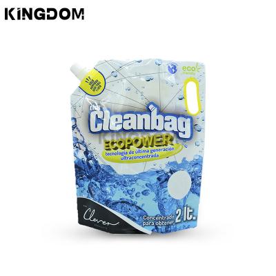 China Moisture Proof Custom printed reusable packaging bag detergent cleaner liquid packaging spout bag with handle for sale