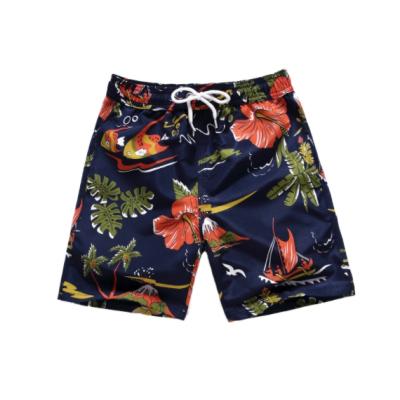 China FIs Summer Fashion European and American Style Beach Pants Men's Quick-Dry Swimming Shorts for sale