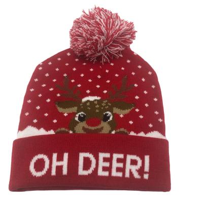 China Newest Fashion Autumn And Winter Thermal Wool COMMON Embroidery High Quality Christmas Knitting Hat for sale