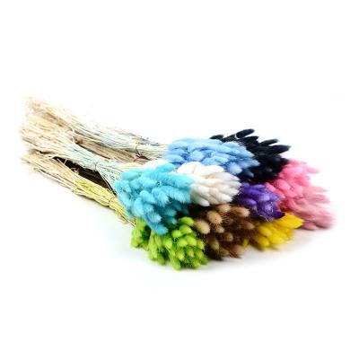 China HEN Decorative Pcs Color Plants Original Natural Dry Material Type Pampas Flower Dry Wedding Decoration Flower Bouquet Party Preserved Real Flowers for sale