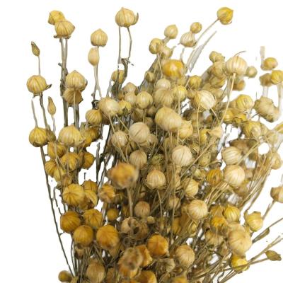 China Natural Dry Flower Bouquet Modern Home Decoration Preserved Natural Dry Flower Bouquet Store Window Decoration Festival Real Flowers for sale