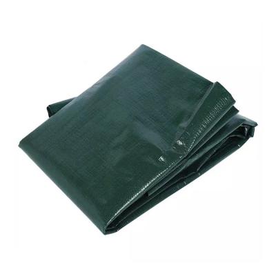 China Durable Plant Wholesale Durable Plastic Gardening Bags Collapsible Deciduous Garden Waste Heavy Duty Bags for sale