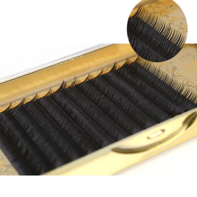 China Korean Double Layer Eyelash Extension Two Tips Matt Black Ellipse Flat Eye Lashes Extensions for sale