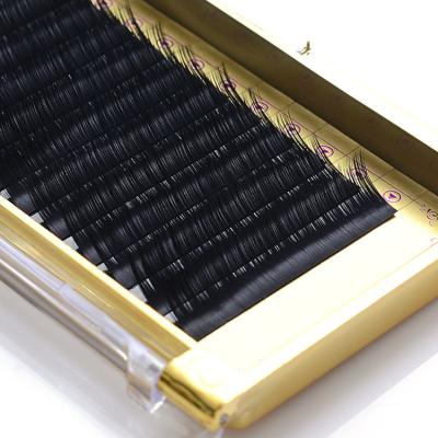 China Crisscross Factory Supplies Bulk Prime Beautier 3d Eyelash Extension Silk for sale