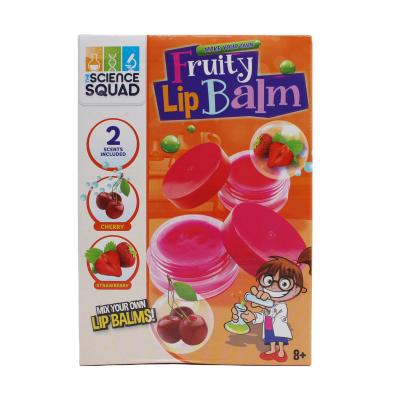 China Environmental Friendly Kids Educational Kits Funny And Cheap Fruity Lip Balm Science Kit Set for sale