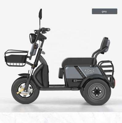 China AOKE Family Engineering Accessories Electric Reverse Tricycle-XTD2 for sale