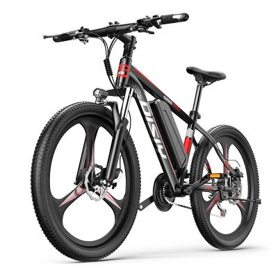 China Sports Bike Wholesale In The Mountain 750W/1000W Current Shipping Popular Folding E Bike for sale