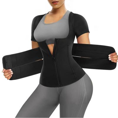 China Antibacterial Waist Trimmer Sauna Sweat Belt Slimming Tummy Control Fitness Waist Trainer Belt For Women for sale