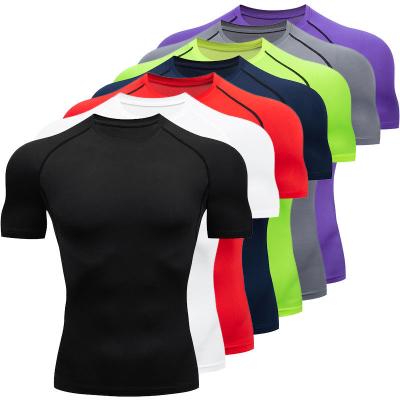 China Breathable Wholesale Competitive Price Sports Tight Short Sleeve Mens Fitness Gym Clothing for sale