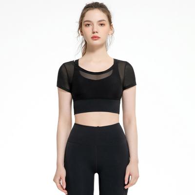 China Breathable Promotional Product New Arrival Nylon Mesh Sports Bra For Women Short Sleeve for sale