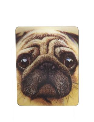 China With 3D Lenticular Printing Customized High Quality Fridge Magnet PET/PP 3D Lenticular Printing Souvenir Gifts Flip 3D Image Effect Lenticular Magnets for sale