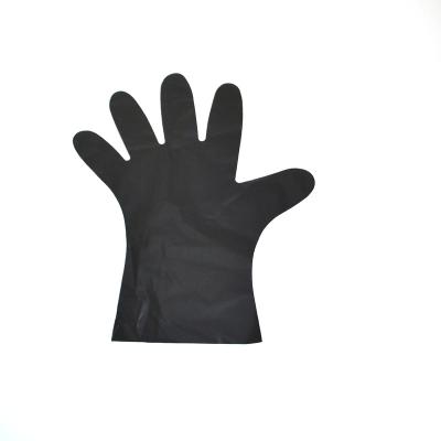 China Household Cleaning Gloves Powder Free Black Gloves Plastic-elastic Strip Disposable Gloves for sale