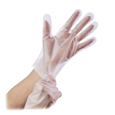 China Wholesale Hand Glove Cleaning Equipment Boxed Tape Food Service Gloves for sale