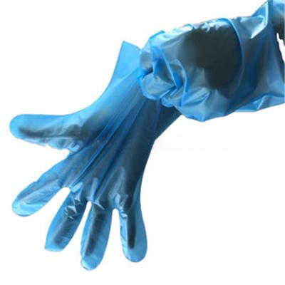 China Disposable Gloves Plastic Thermoplastic Elastomer Poly Tape Gloves Fool Gloves for sale