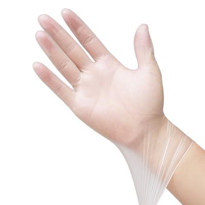 China DISP Wholesale Vinyl Glove Disposable Vinyl Plastic Advance Clear Vinyl Gloves for sale