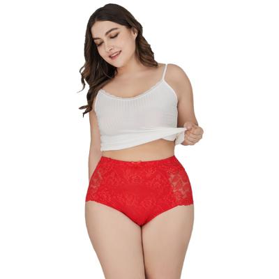 China 2022 Women's Breathable Sexy Panties Lace High Waist Panties Fat Women Plus Size Underwear Transparent Briefs for sale