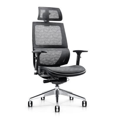 China Mesh Office Furniture BIFMA Europe (Height) Swivel Adjustable Ergonomic Desk Chair Full Ergonomic Office Chair Mesh for sale